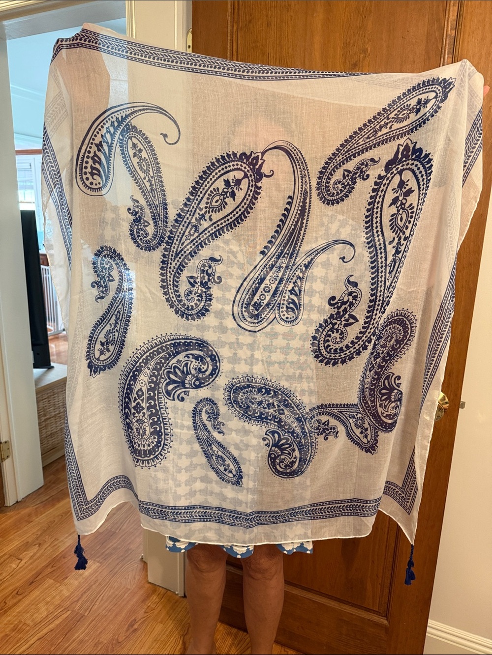 Blue Paisley Sheer Scarf